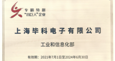 Shanghai BIX Electronics Company Ltd. was selected as the 3rd batch of specialized new 
